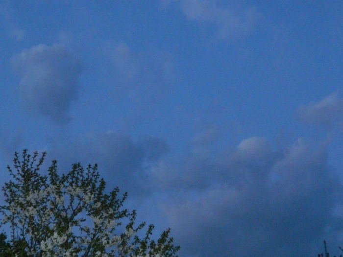 DSCN7187