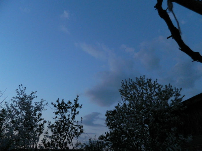 DSCN7190