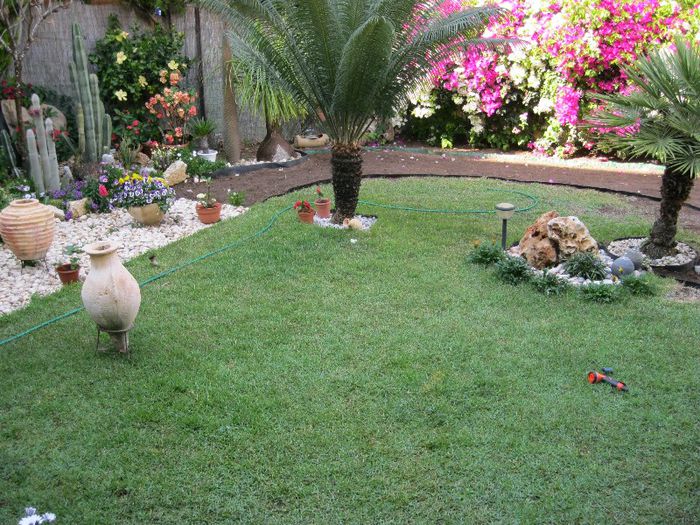 IMG_0890 - gradina-aprilie 2013
