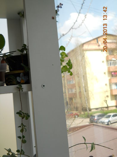 052 - APRILIE 2013
