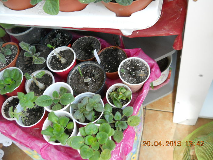 057 - APRILIE 2013