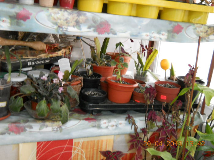 059 - APRILIE 2013