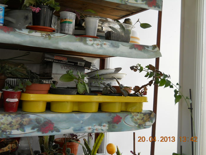 060 - APRILIE 2013