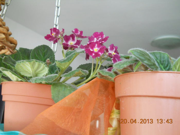 063 - APRILIE 2013