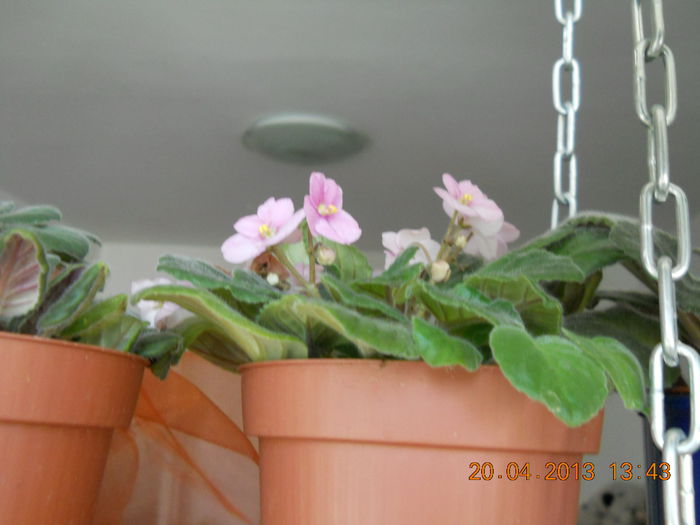 064 - APRILIE 2013