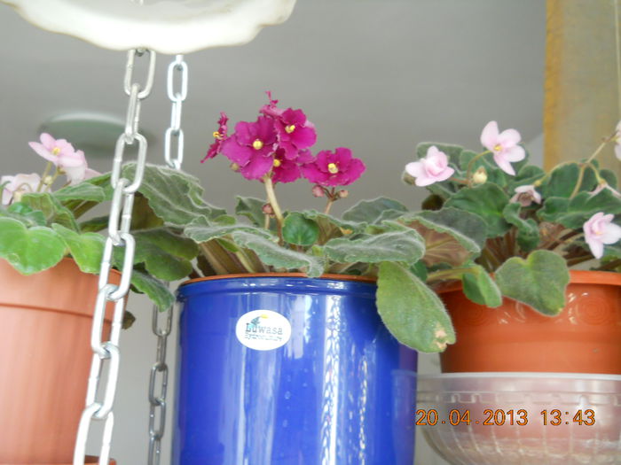 065 - APRILIE 2013