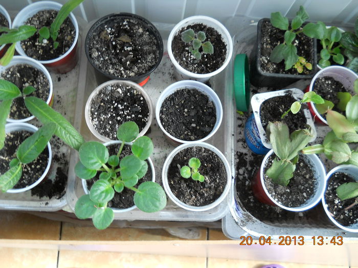 070 - APRILIE 2013