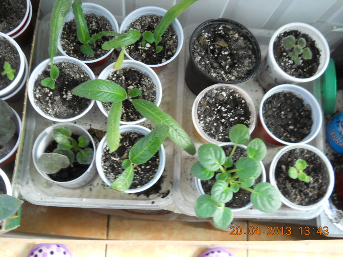 071 - APRILIE 2013