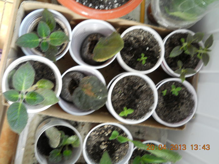 072 - APRILIE 2013