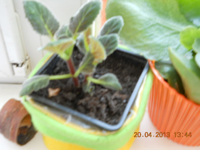 074 - APRILIE 2013
