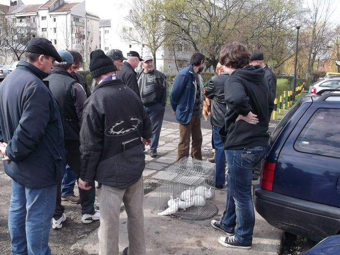 INTERESE DIVERSE - TARGURI SI  PIETE  LASATI DATELE AICI