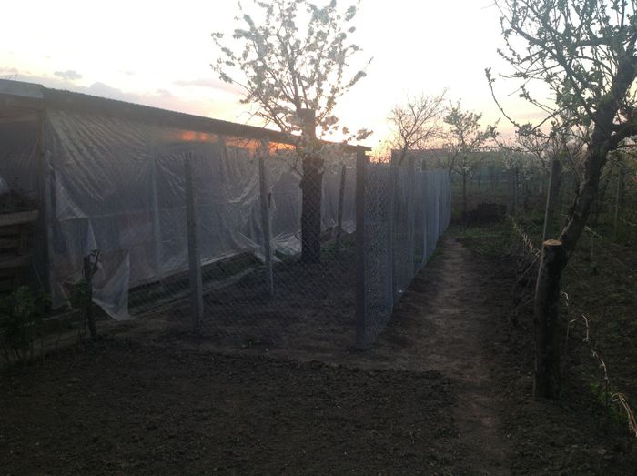 Tarcuri exterioare volierei