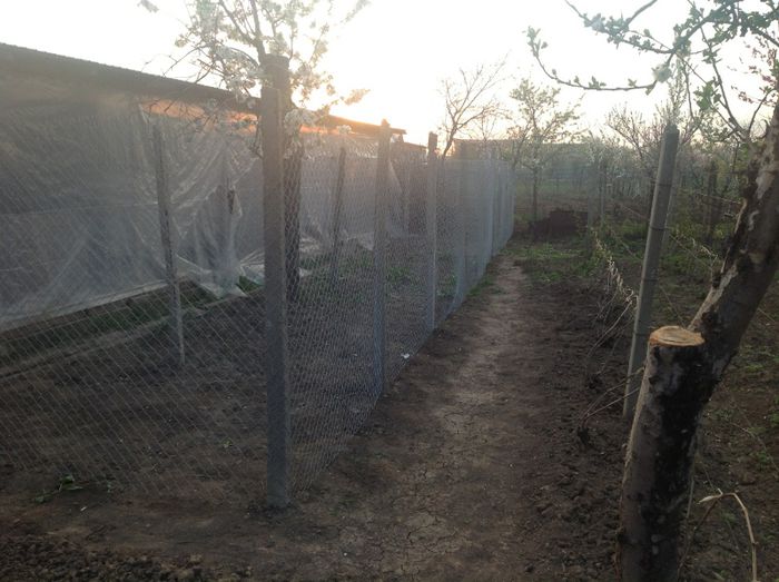 Tarcuri exterioare volierei