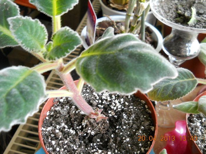 023 - APRILIE 2013