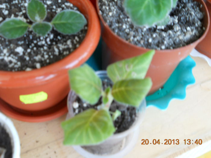 029 - APRILIE 2013