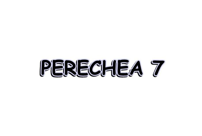 7 - Perechi voiajori 2014