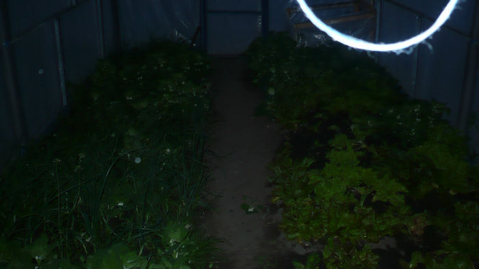 P1030281