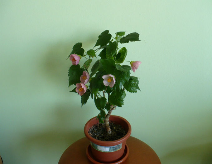 P1420958