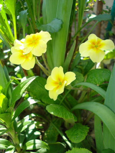 DSC02410