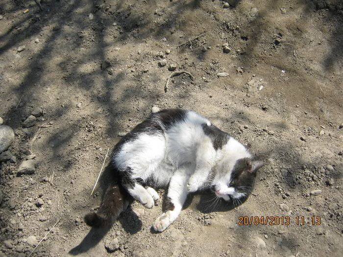 IMG_2149 - Aprilie la tara