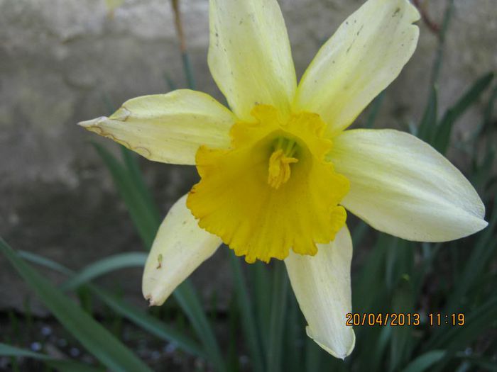 IMG_2162 - Aprilie la tara