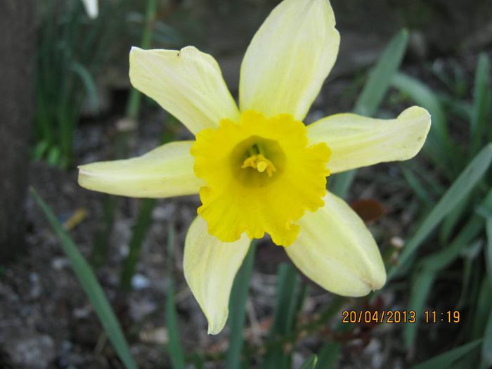 IMG_2165 - Aprilie la tara