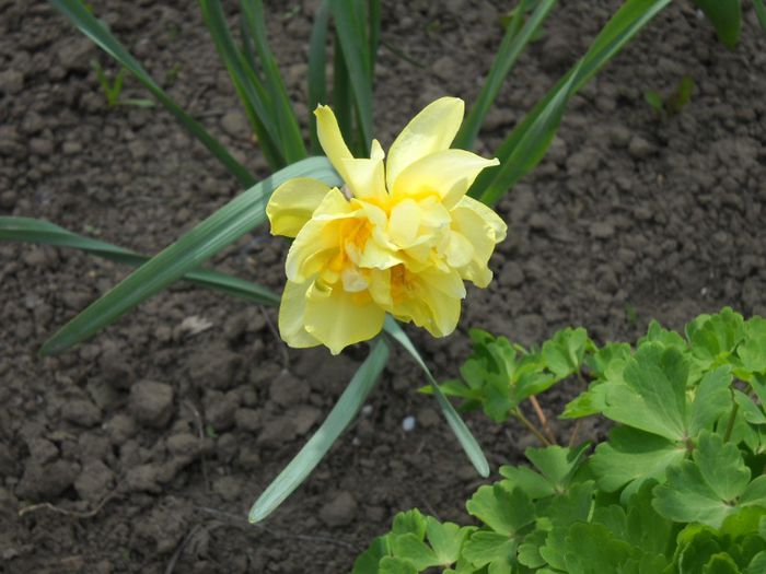 DSCN5320