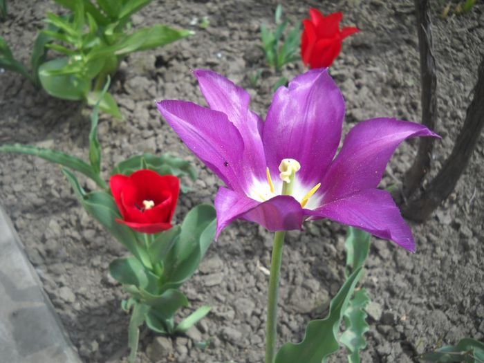 DSCN5306