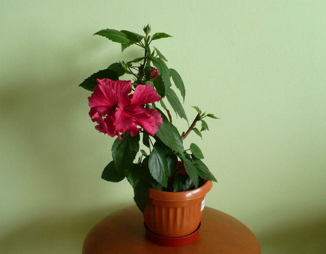 P1430128