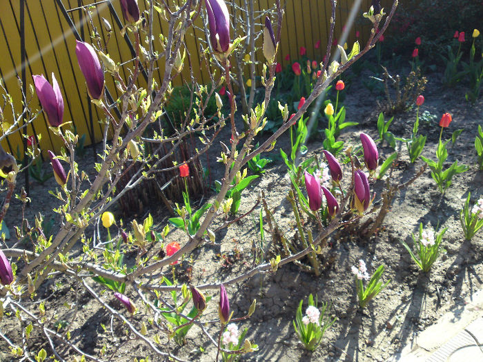 005 - Aprilie 2013