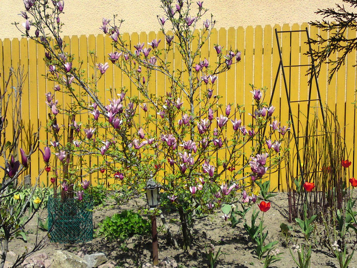 009 - Aprilie 2013