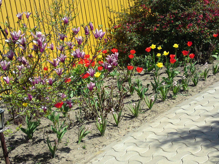 010 - Aprilie 2013