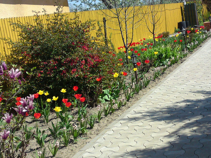 011 - Aprilie 2013