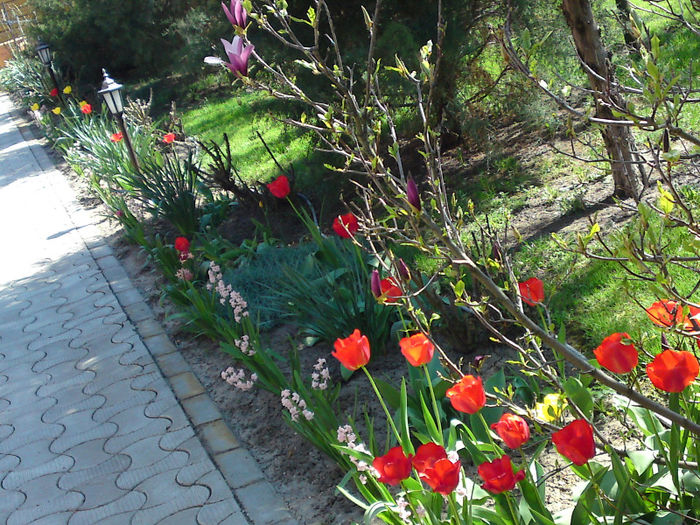 012 - Aprilie 2013