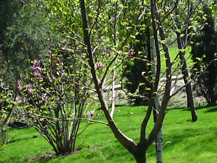 013 - Aprilie 2013