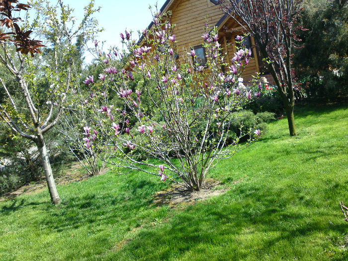 014 - Aprilie 2013