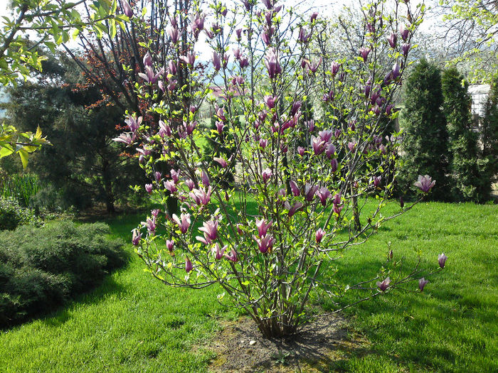 028 - Aprilie 2013