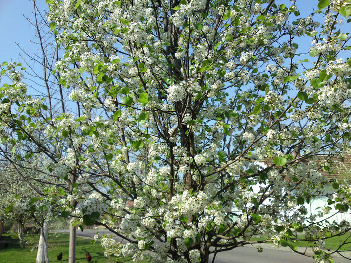 041