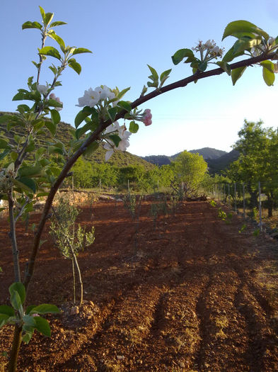 bine arat... - natura si frumusetea ei