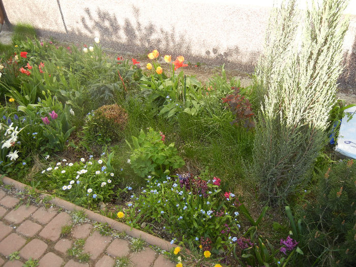Spring colors (2013, April 19)