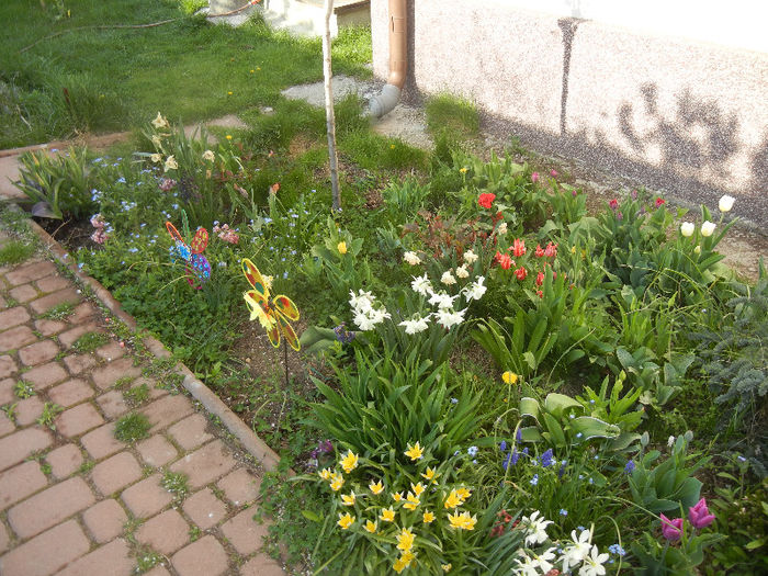 Spring colors (2013, April 19)