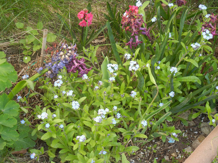 Spring colors (2013, April 19)