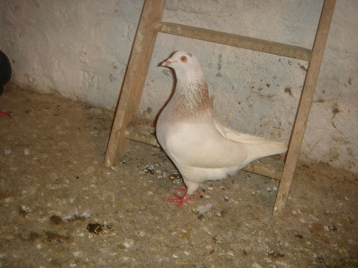 DSC00020