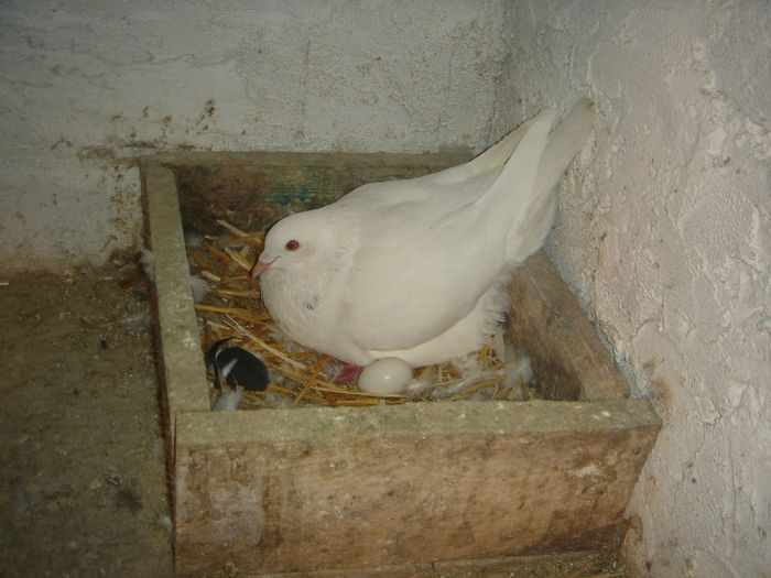 DSC00013