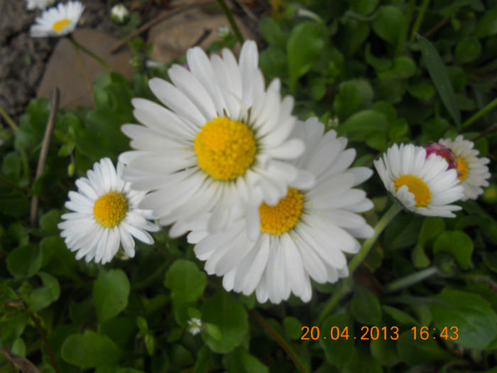 DSCN2956