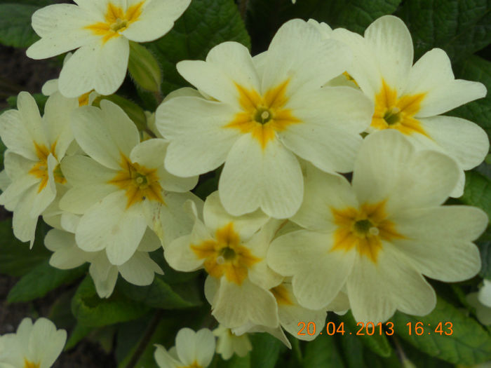 DSCN2957