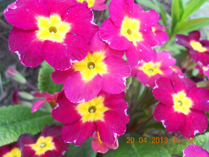 DSCN2959