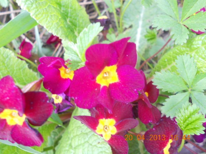 DSCN2962