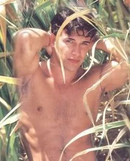 2vt13is - Jorge Aravena