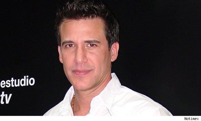 402087_233671763379884_8253172_n